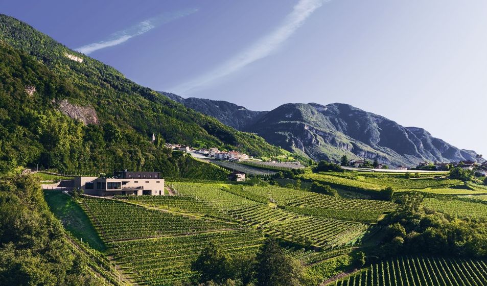 Weingut Pfitscher und Südtiroler Unterland