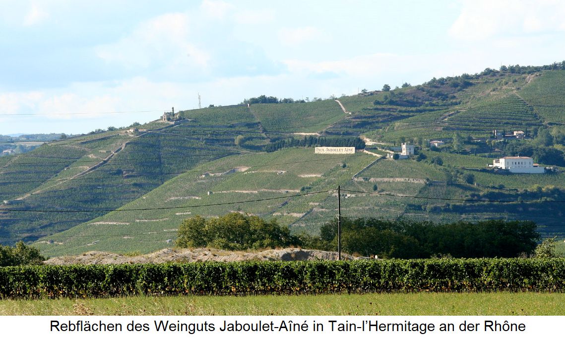 Rebflächen des Weinguts Jaboulet-Aîné in Tain-l’Hermitage an der Rhône
