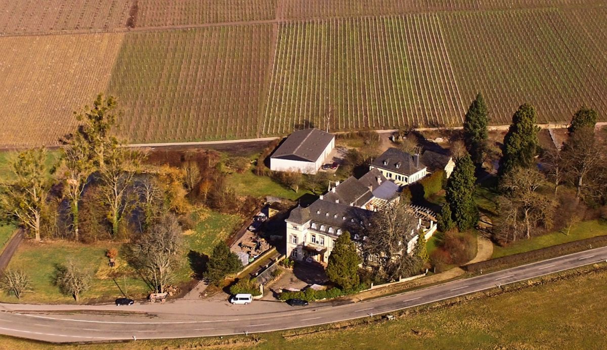 Egon Müller-Scharzhof - Weingutsgebäude und Rebflächen