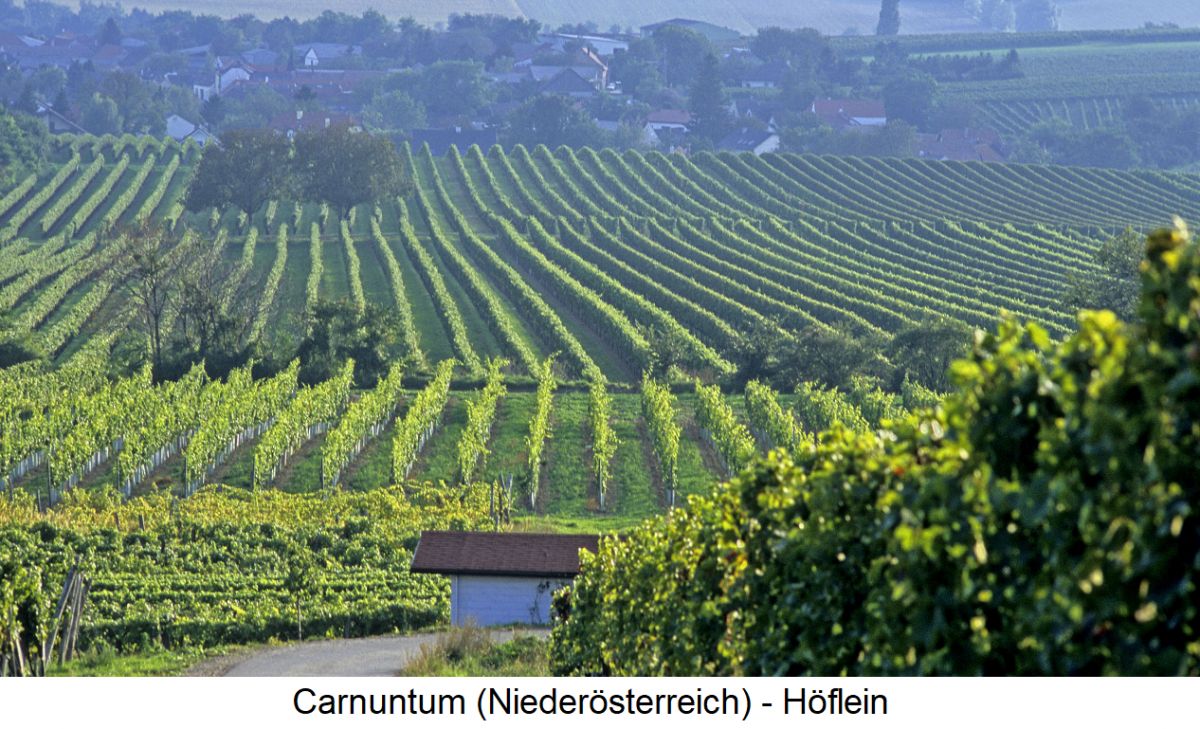Carnuntum - Gemeinde Höflein mit Weingärten
