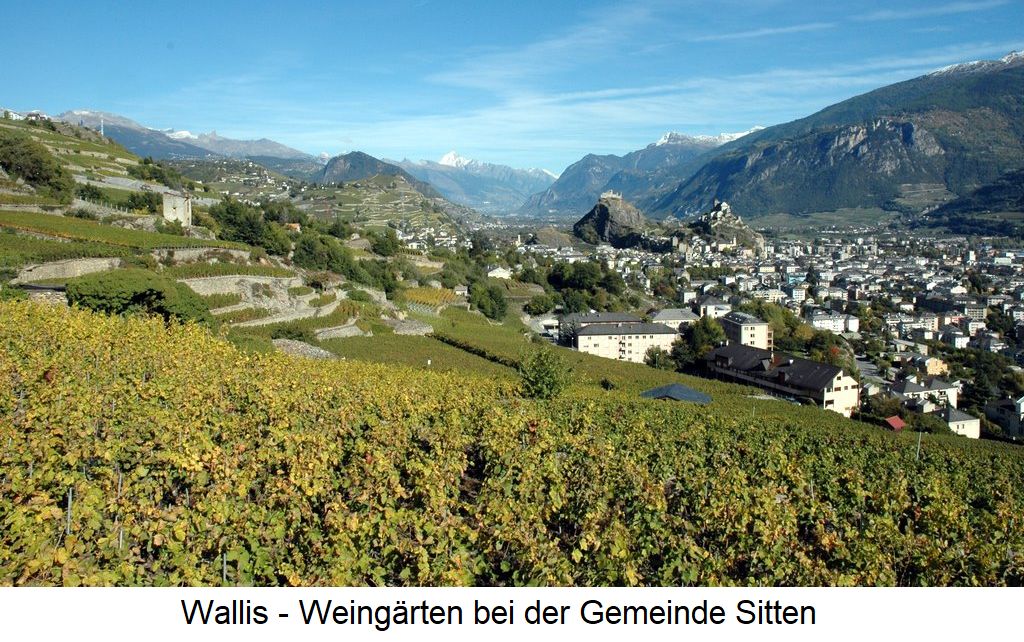 Wallis - Weingärten bei Sitten