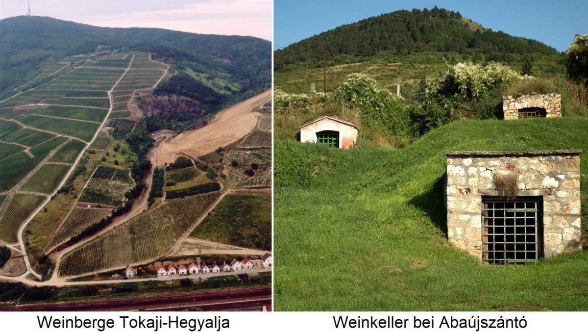 Tokajer - Weinberge Tokaji-Hegyalja und Weinkeller bei Abaújszántó