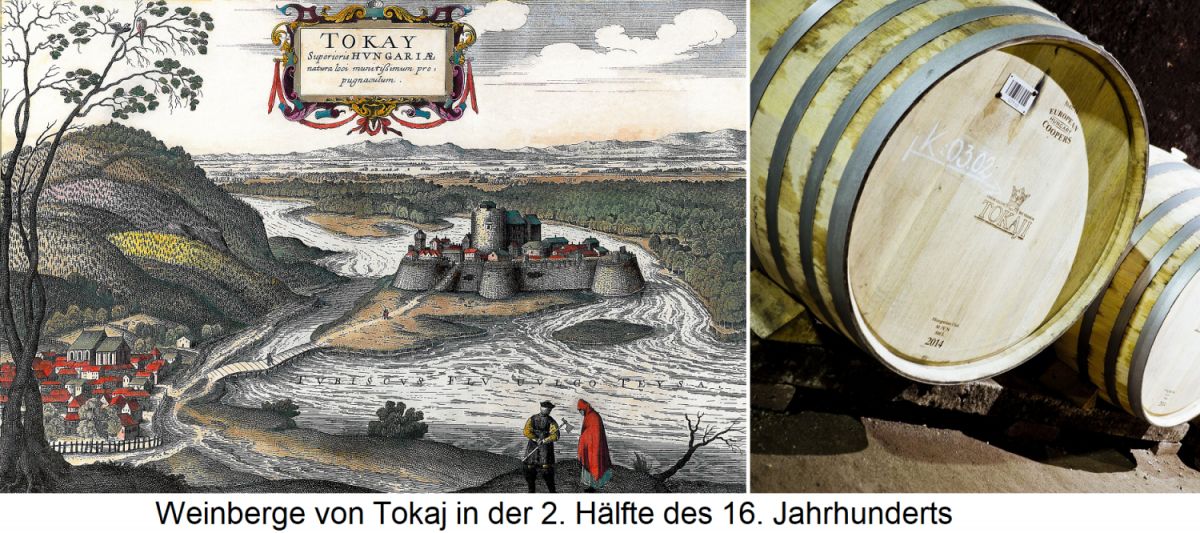 Weinberge von Tokaj in der 2. Hälfte des 16. Jahrhunderts und Fässer