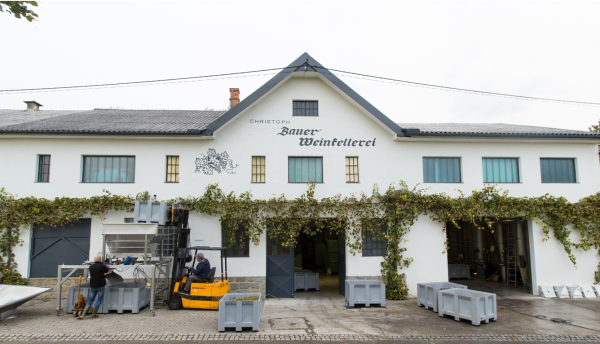 Bauer Christoph - Weingutsgebäude 