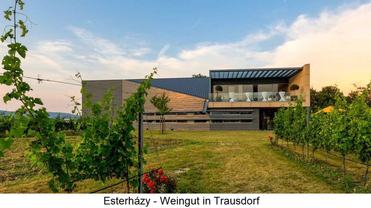 Esterházy - Weingut in Trausdorf