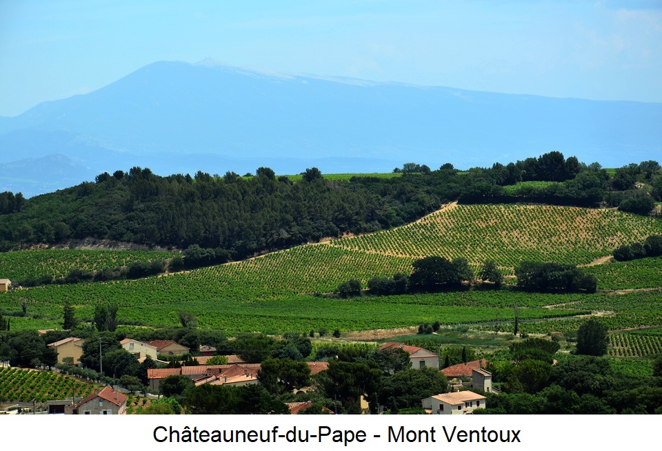 Châteauneuf-du-Pape - Weinberge mit im Hintergrund dem Mont Ventoux
