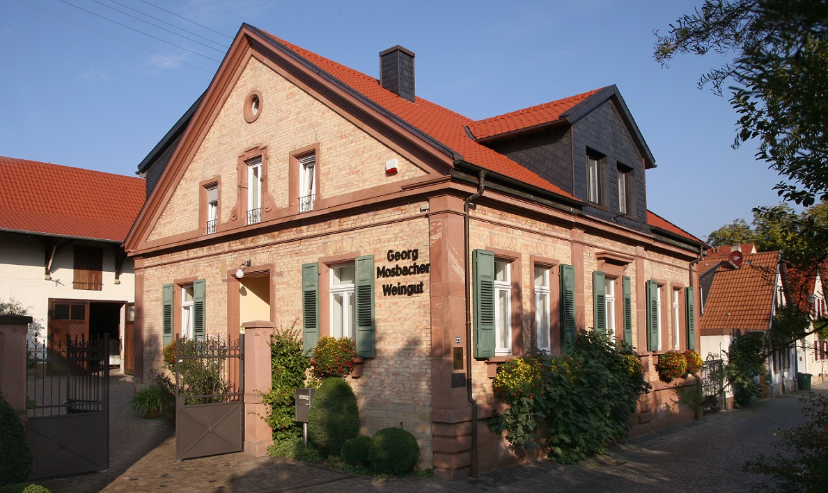 Mosbacher Georg - Hauptgebäude