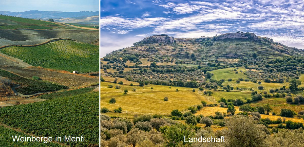Sizilien - Weinberge in Menfi und Landschaft