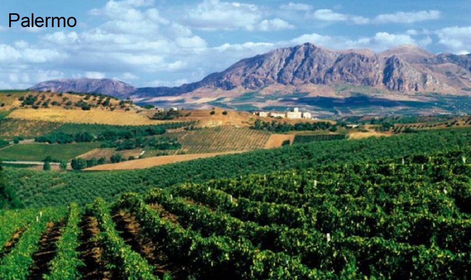 Sizilien-Weinberge-Palermo