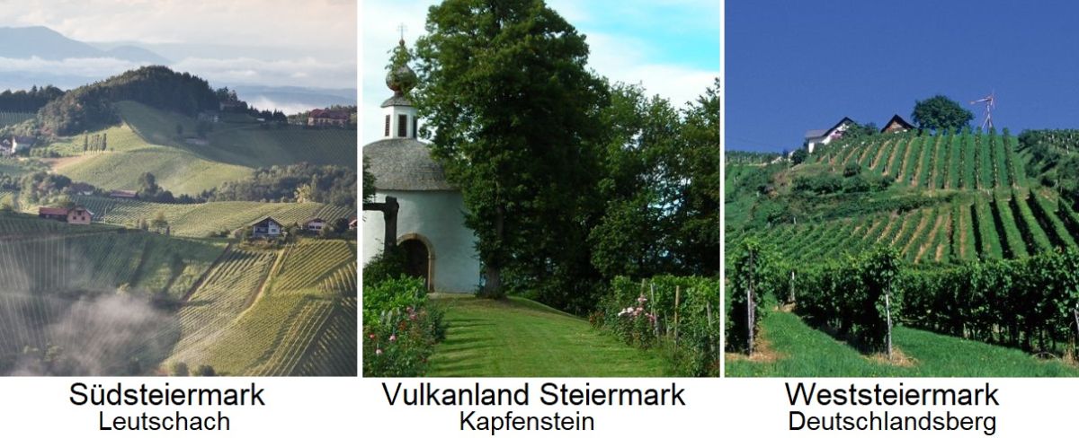 Steiermark - spezifische Weinbaugebiete