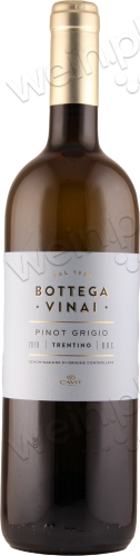 2019 Trentino DOC Pinot Grigio "Bottega Vinai"
