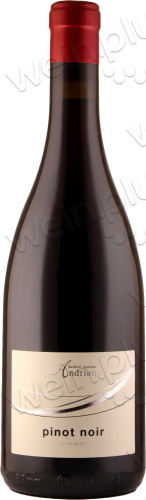 2020 Südtirol / Alto Adige DOC Pinot Noir