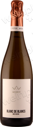 2019 Brut Nature Blanc de Blancs