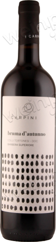 2013 Colli Tortonesi DOC Barbera Superiore "bruma d'autunno"