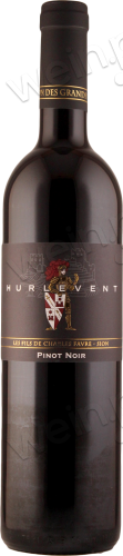 2021 AOC Valais Pinot Noir "Hurlevent"