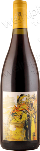2015 Thermenregion Ried Eichkogel Pinot Noir trocken